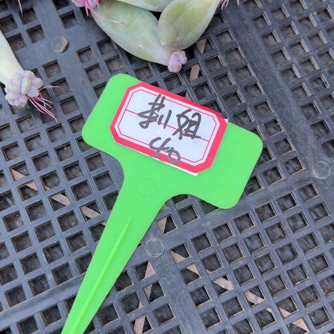 莉****我不喜欢这样一天不