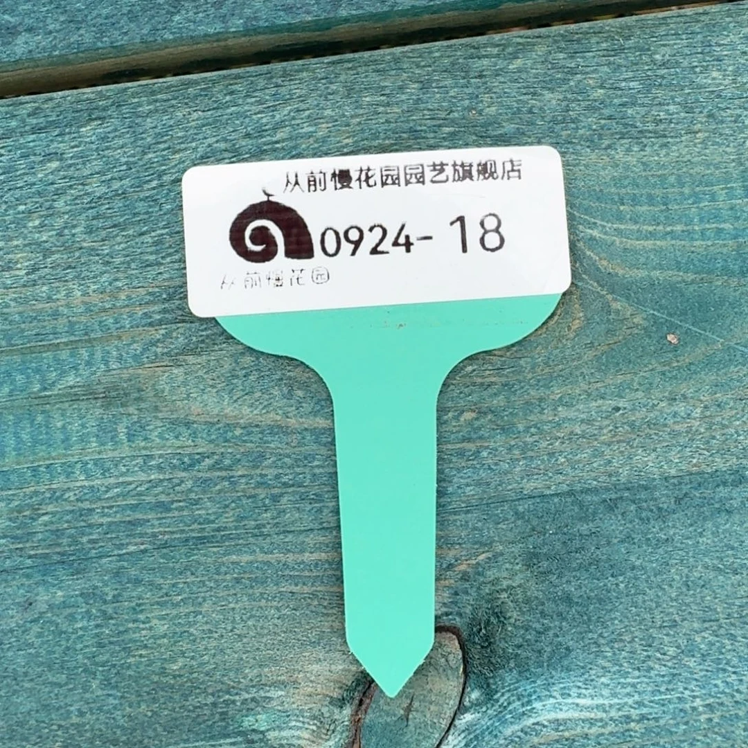 慧***宝从前慢多肉精选编号0924.18