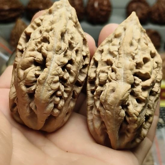 吊坠文玩核桃大楸核桃1号