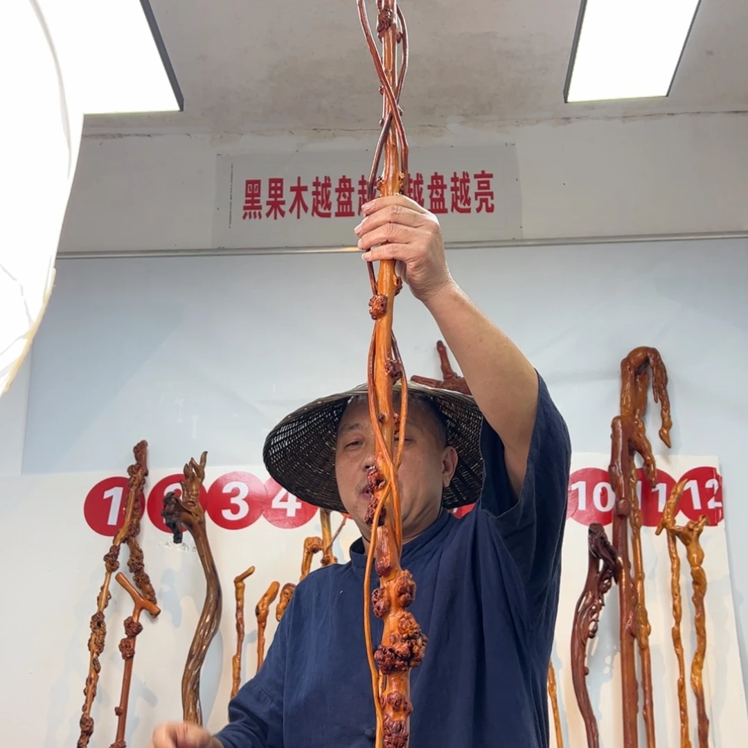 其他黑果木黑果木696