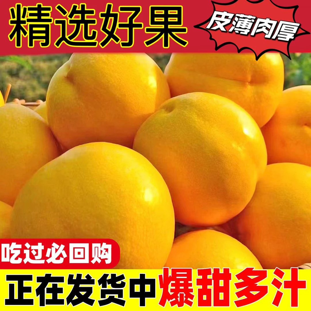 山东蒙阴蜜桃新鲜现摘油桃黄肉蜜桃脆甜可口当季时令水果4斤