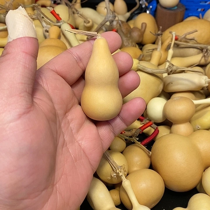 K***?精品葫芦手把葫芦79