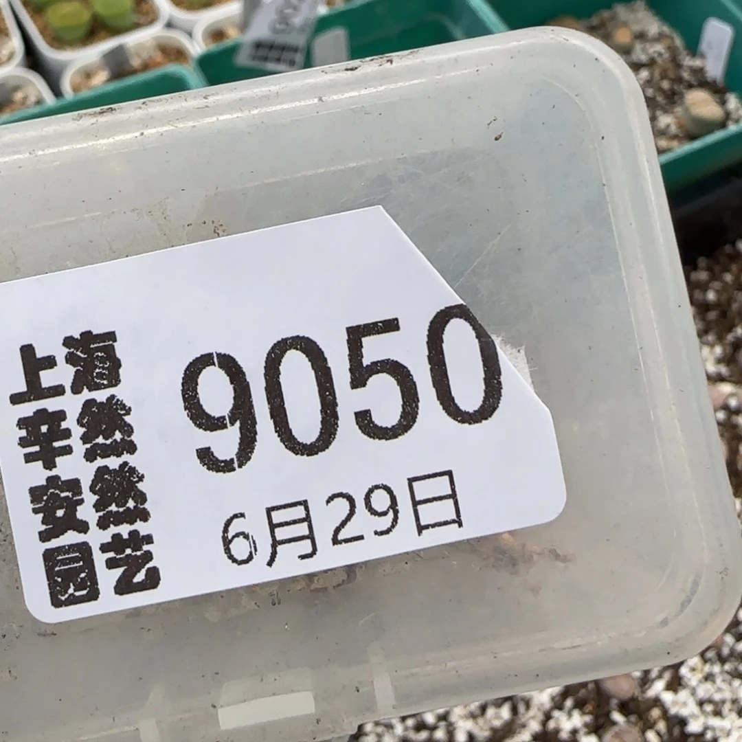 珍***茶6.29。 217。3 小9050