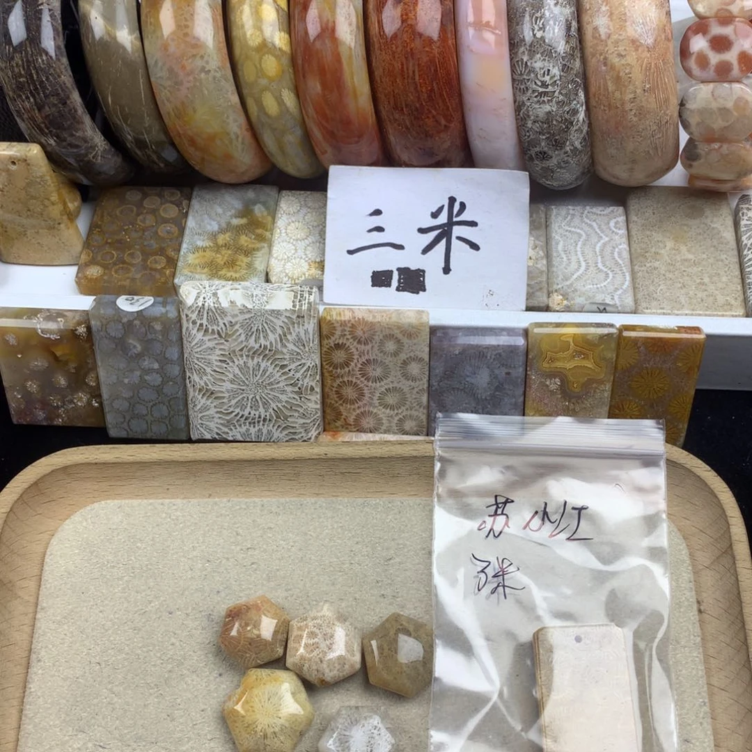 苏***汪硅化珊瑚（珊瑚玉）未镶嵌颈饰