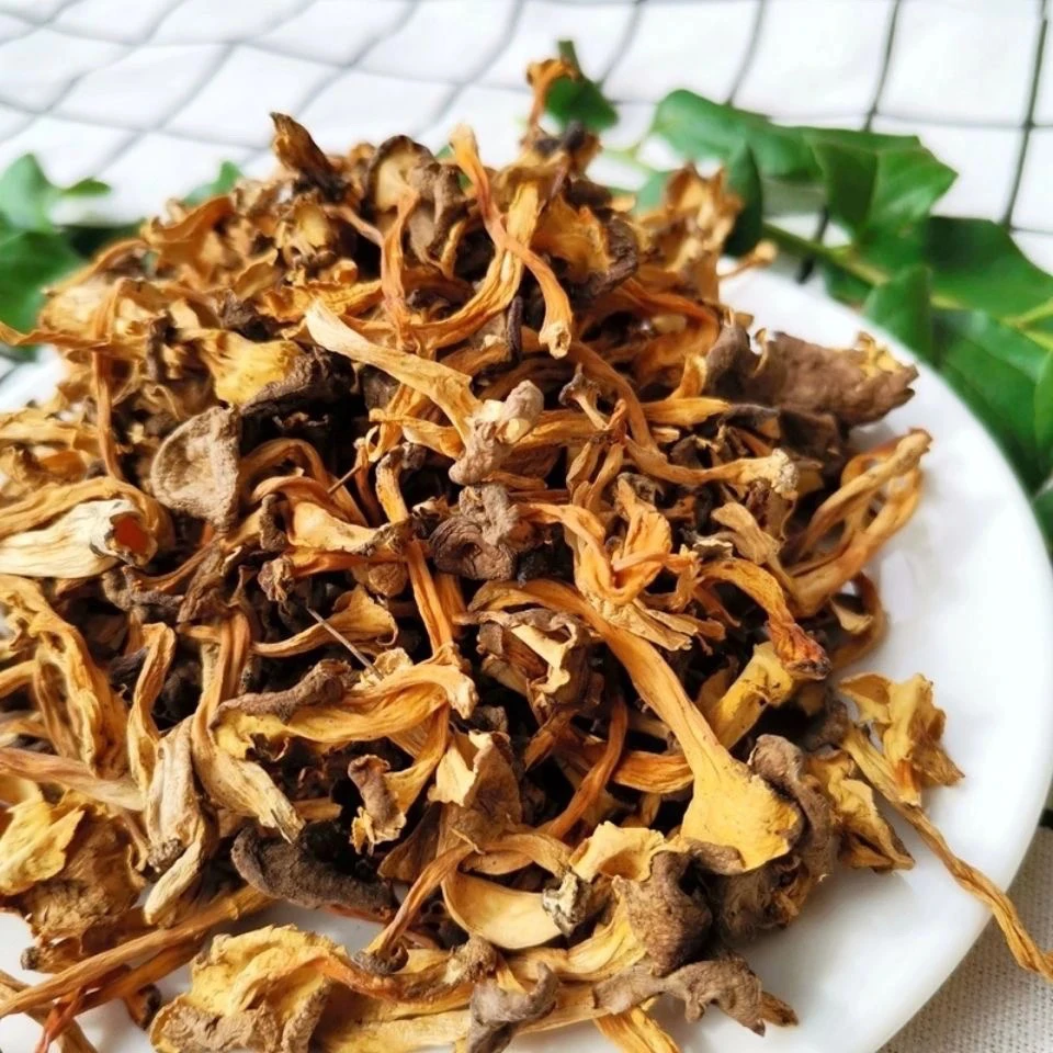 桂花鸡油菌云南大集现收山货