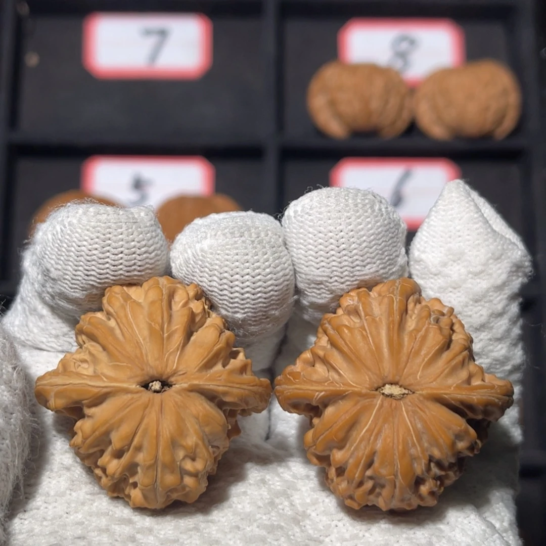 y***文玩核桃吊坠05秦皇岛山地果全品