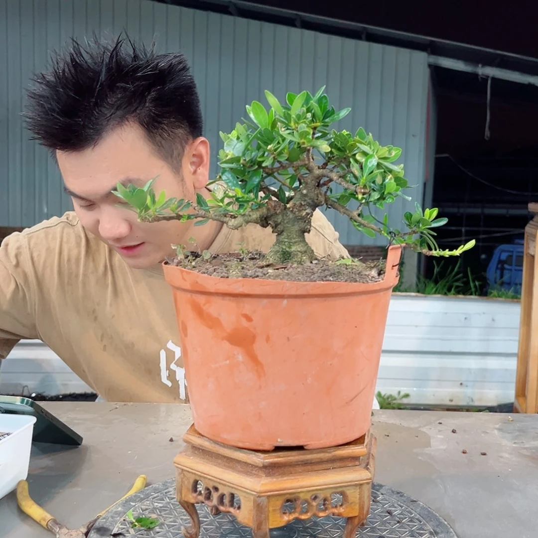 H***Z无花朵玉何栀子花链接
