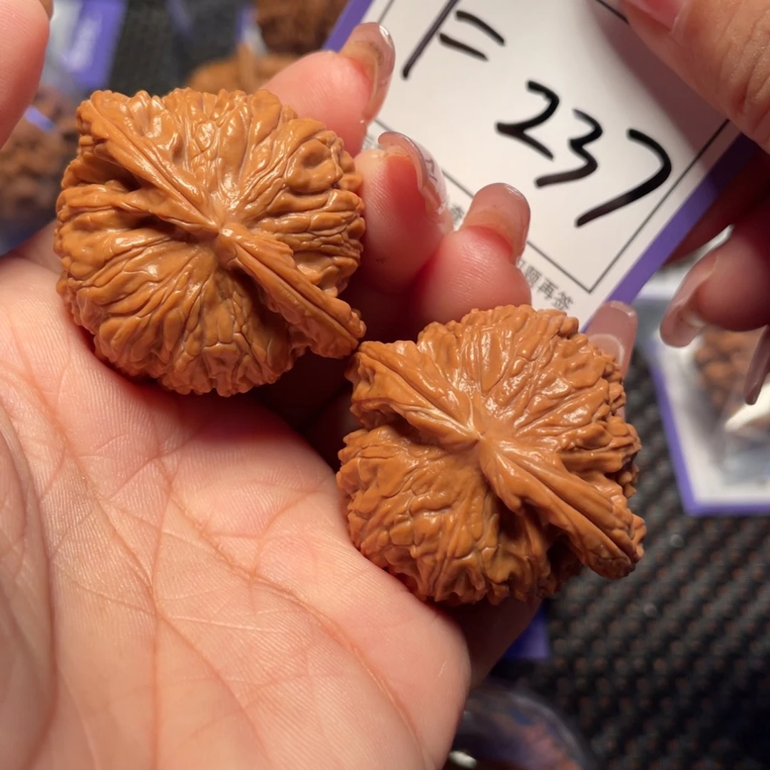 把件桃核237号白狮子39