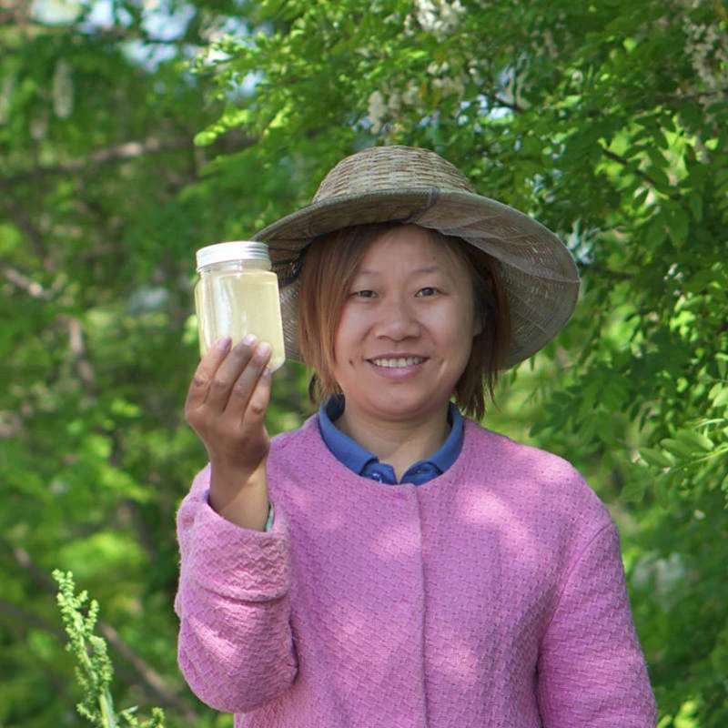 2025年洋槐蜜42.5波美度成熟槐花蜜蜂场直发甘肃静宁刺槐蜜