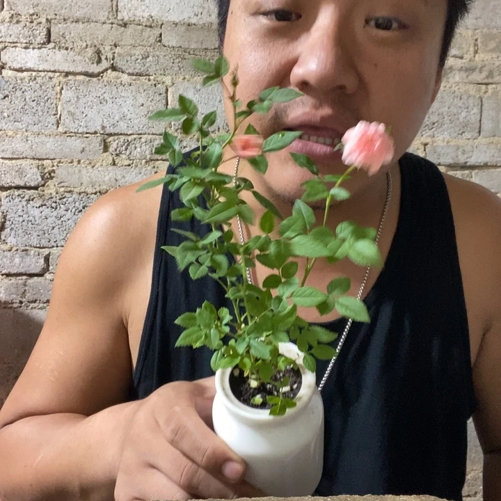 完全开放退款拉黑一物一拍211