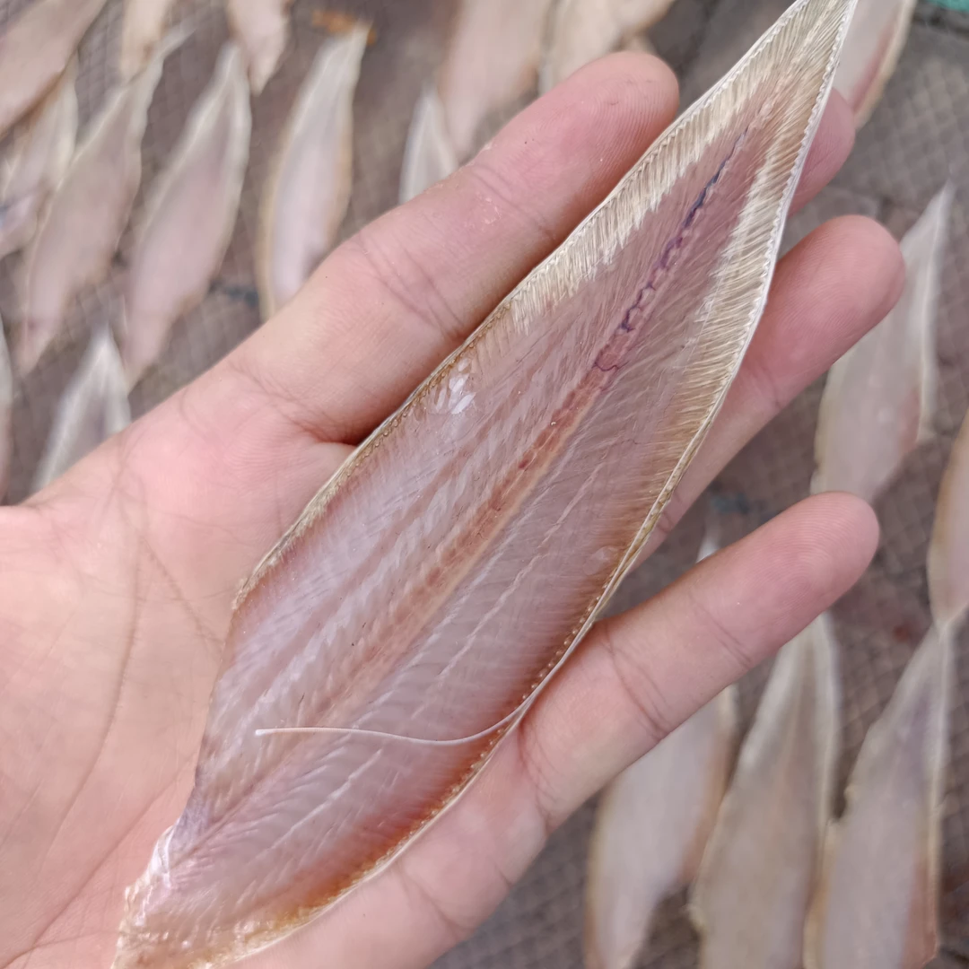 海南龙利鱼鱼干晒干淡口无需泡水更好吃顺丰包邮