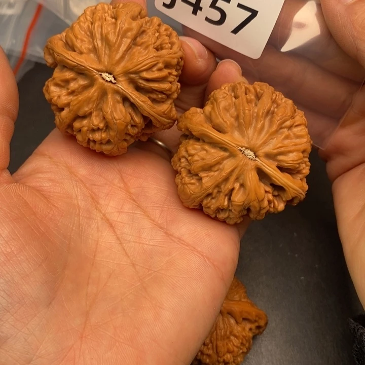 福***家桃核吊坠J457粗筋