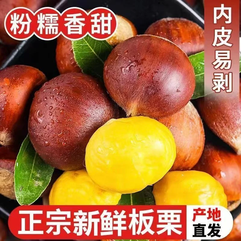 【买三斤送两斤】新鲜老树板栗香甜饱满口感香糯