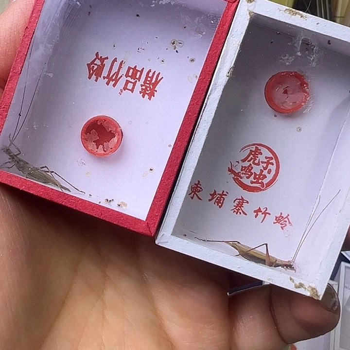 彬***彬哈哈哈哈哈哈哈哈哈哈哈哈