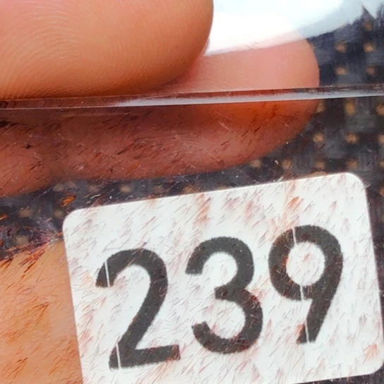 未镶嵌颈饰水晶毒***香水晶