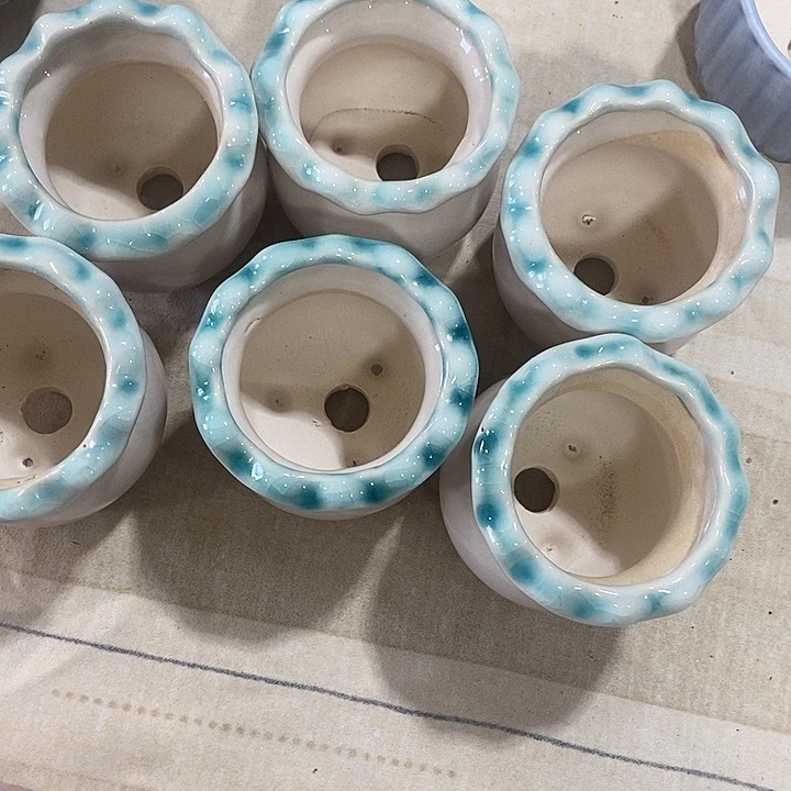 花盆抢购清货马上开始