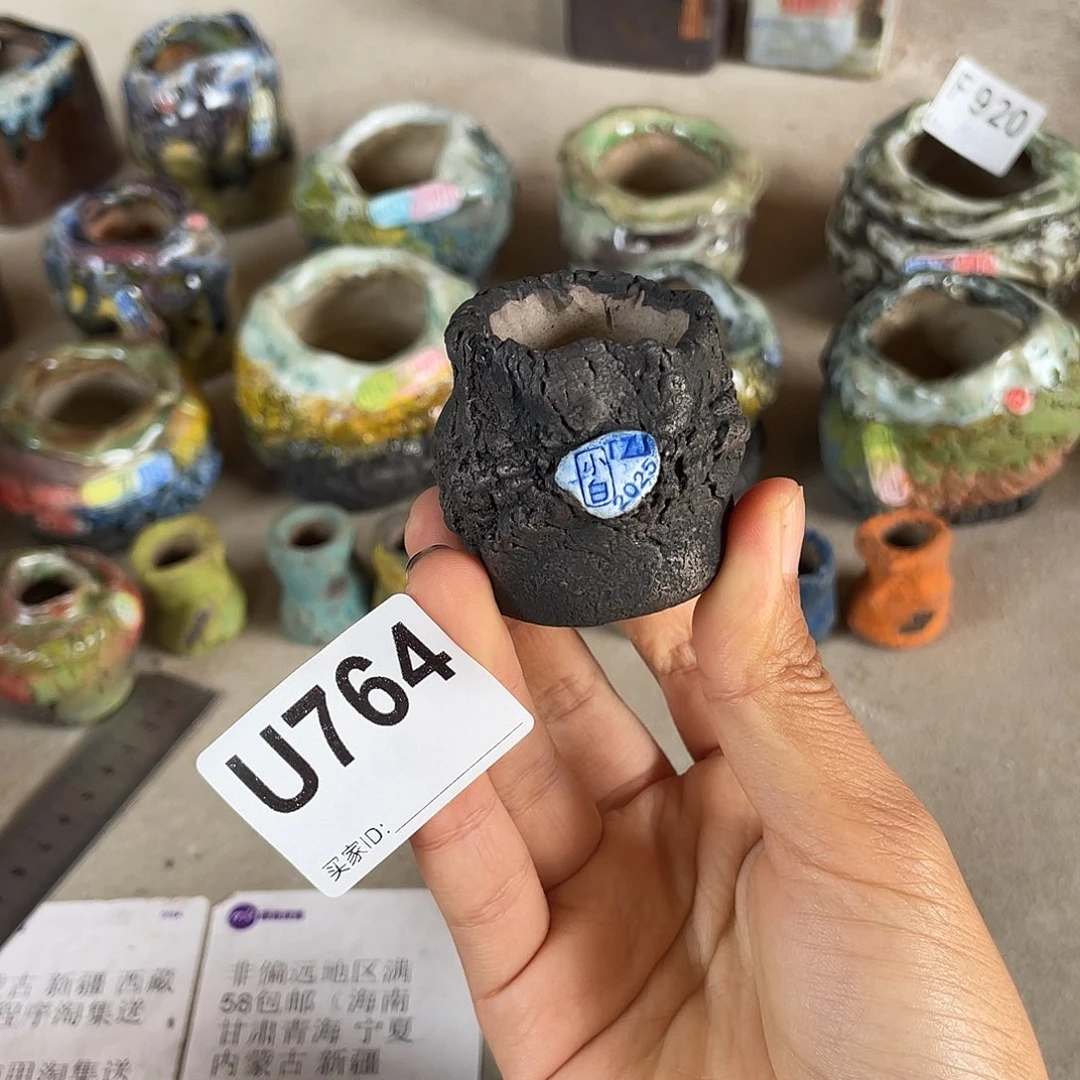 双十一限时福利 内口3