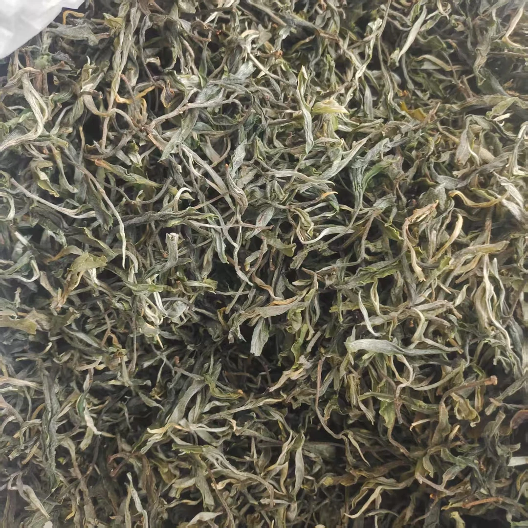 2025年小荒田春茶