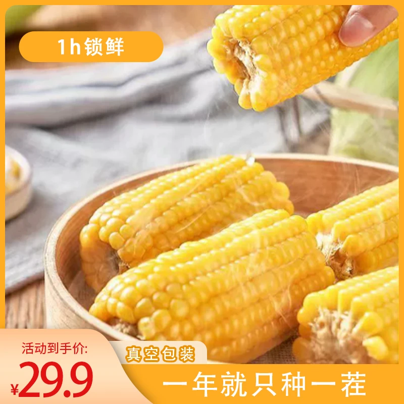 试吃1支蒙鲜绅内蒙古甜糯鲜玉米早餐软糯Q弹早餐代餐真空包装玉米