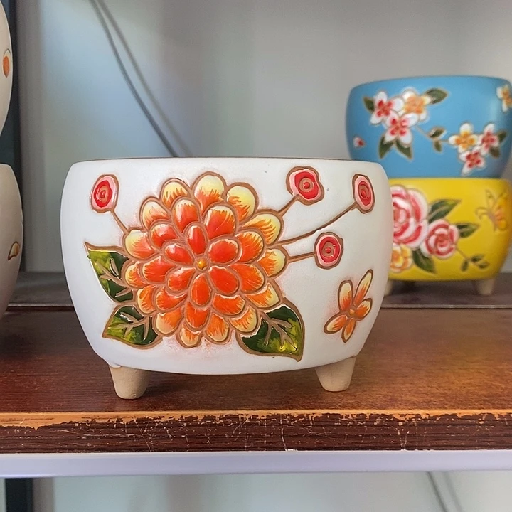 韩式多肉植物花盆