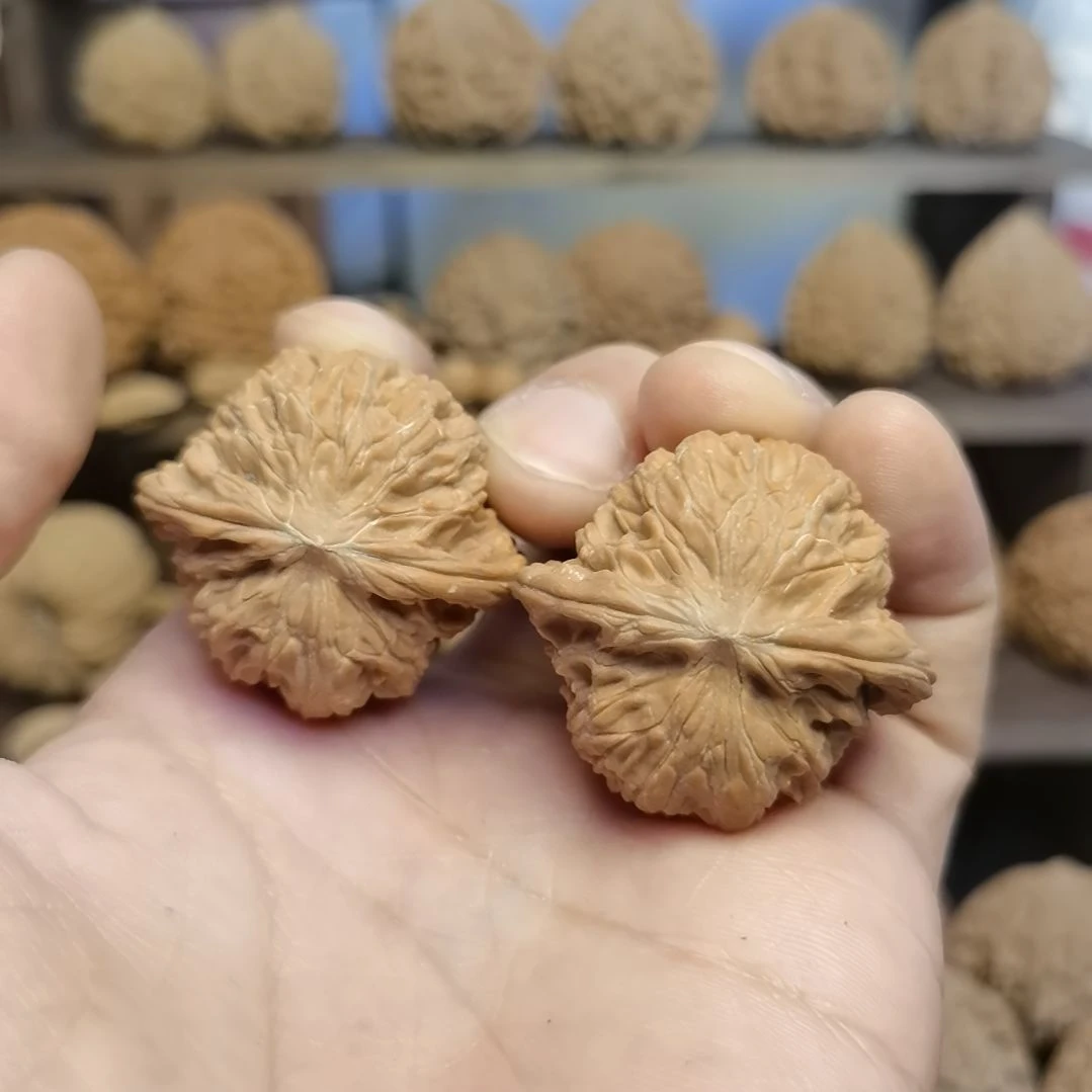 文玩核桃把件38全品红皮原桩山地磨