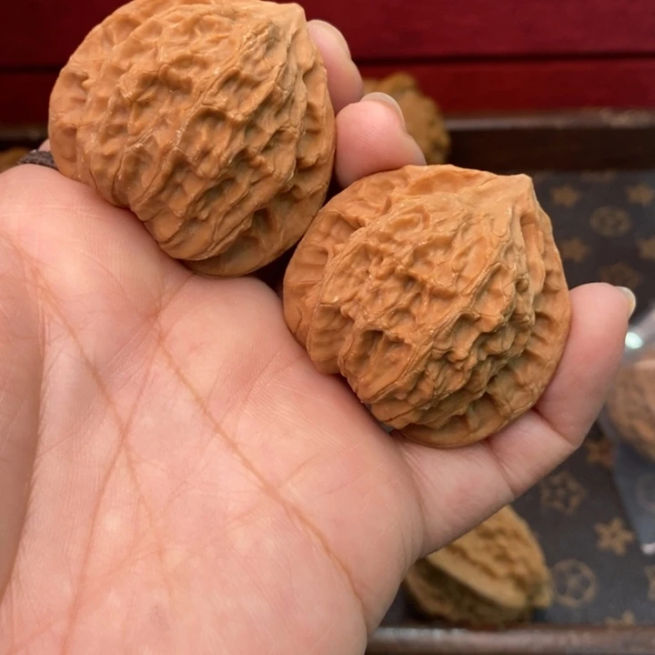 核桃公子帽42尺核桃
