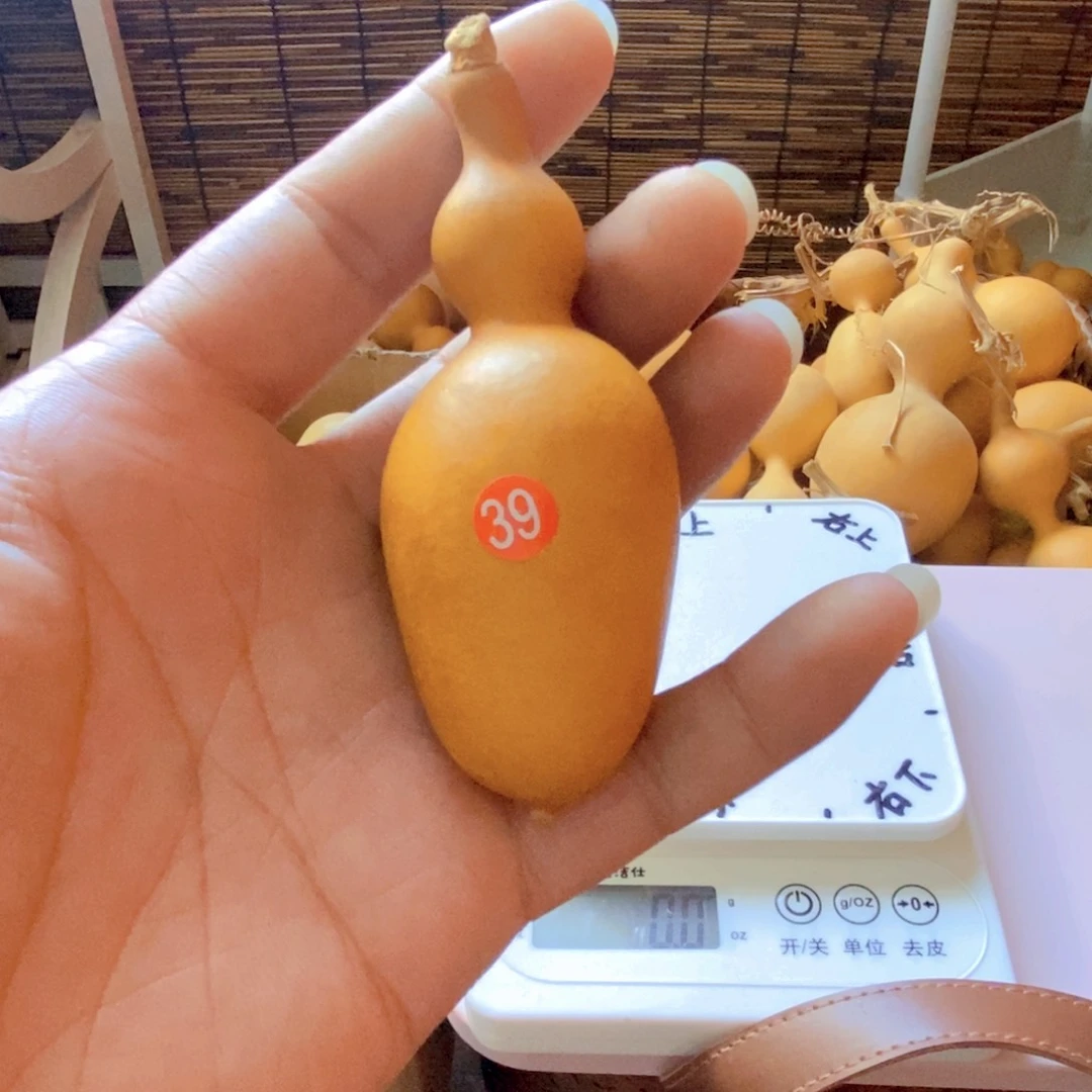 文玩葫芦，厚铁皮葫芦