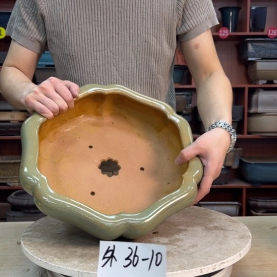 今***四紫砂花盆里放的东西也