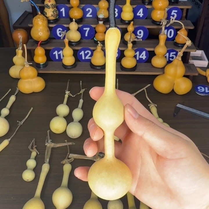 L***I精品三庭杆子周正