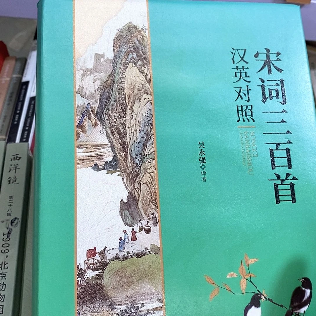 瑕疵锯口  宋词英汉对照