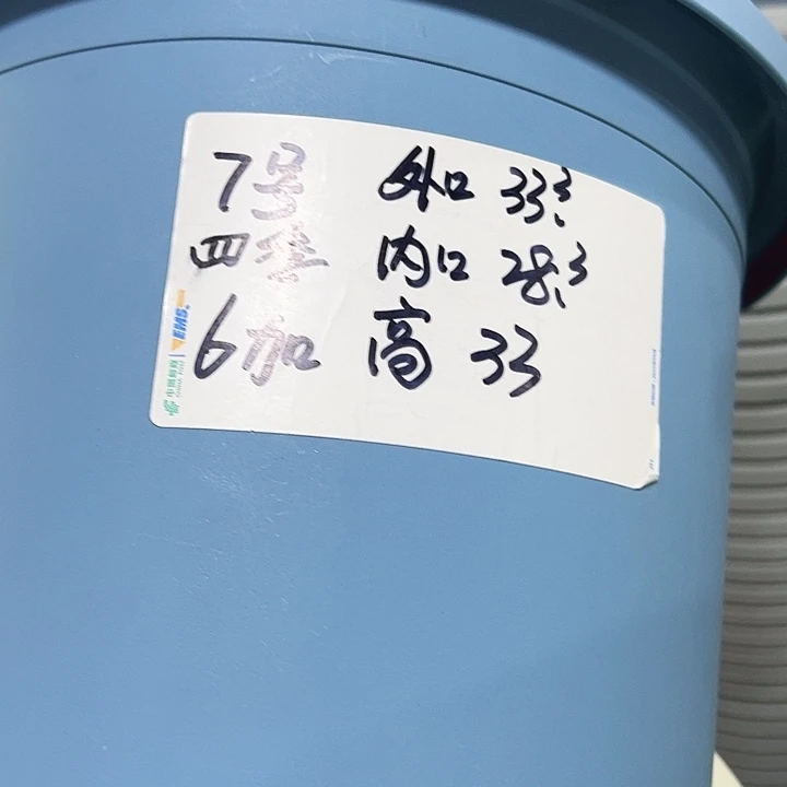 特价7号四季口33高33果绿无托4只