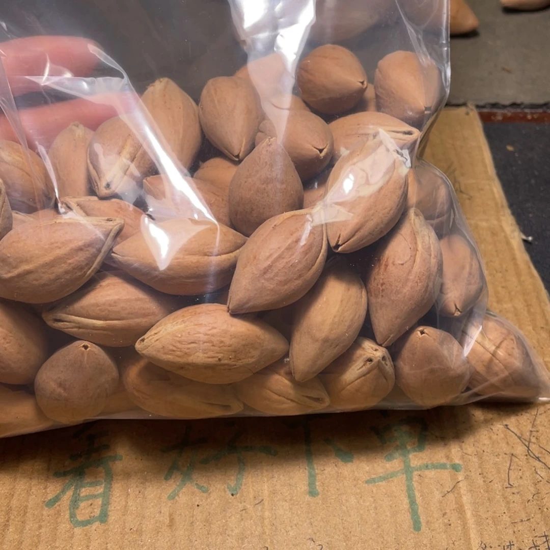 M***李橄榄核吊坠不退不换qetyu