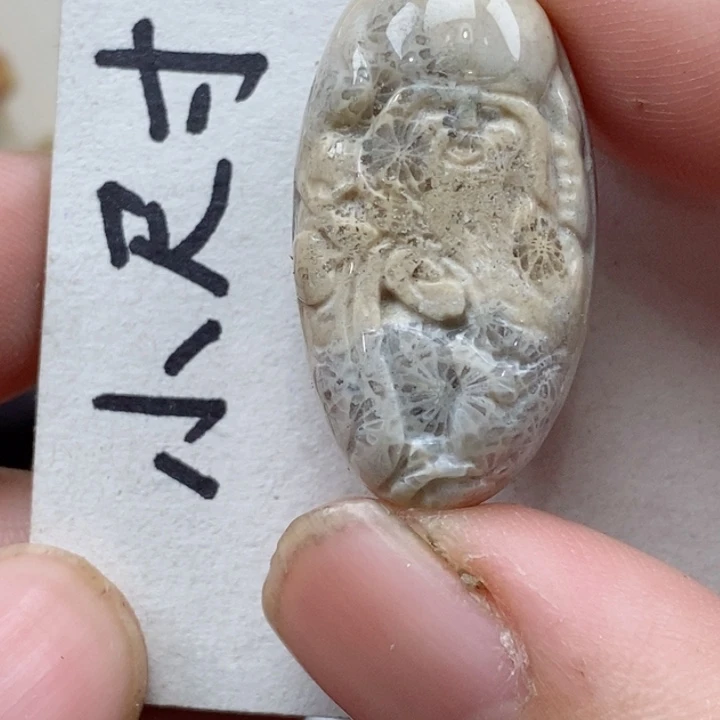 颈饰未镶嵌硅化珊瑚（珊瑚玉）