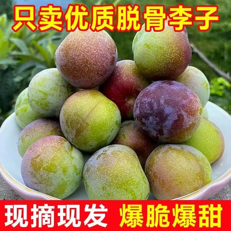 甜脆半边红李子新鲜现摘
