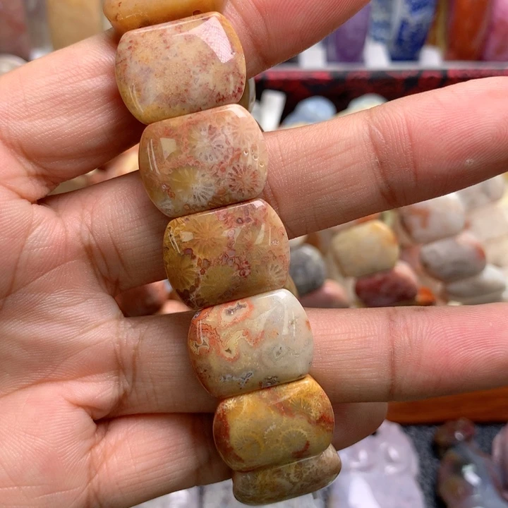 硅化珊瑚（珊瑚玉）未镶嵌颈饰