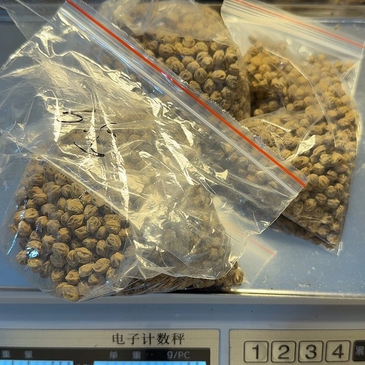 吊坠柏香籽/百香籽