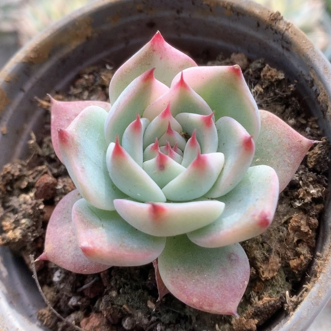 014锦锦锦锦锦锦锦锦