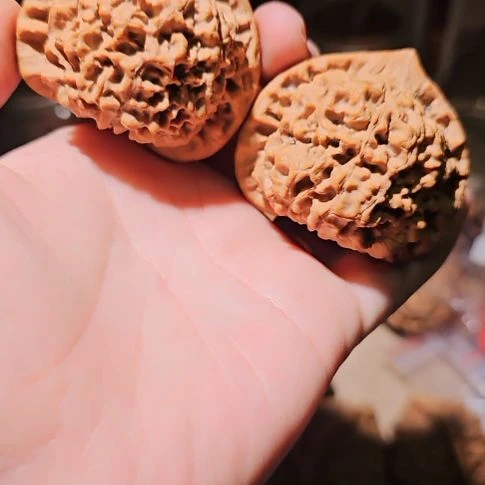 吊坠文玩核桃51龙鼎管帽