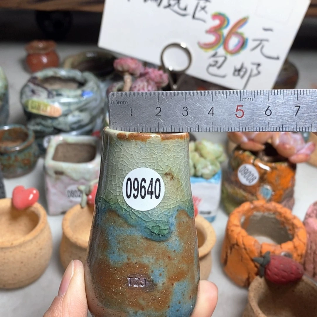 花盆拍5送一个小礼物