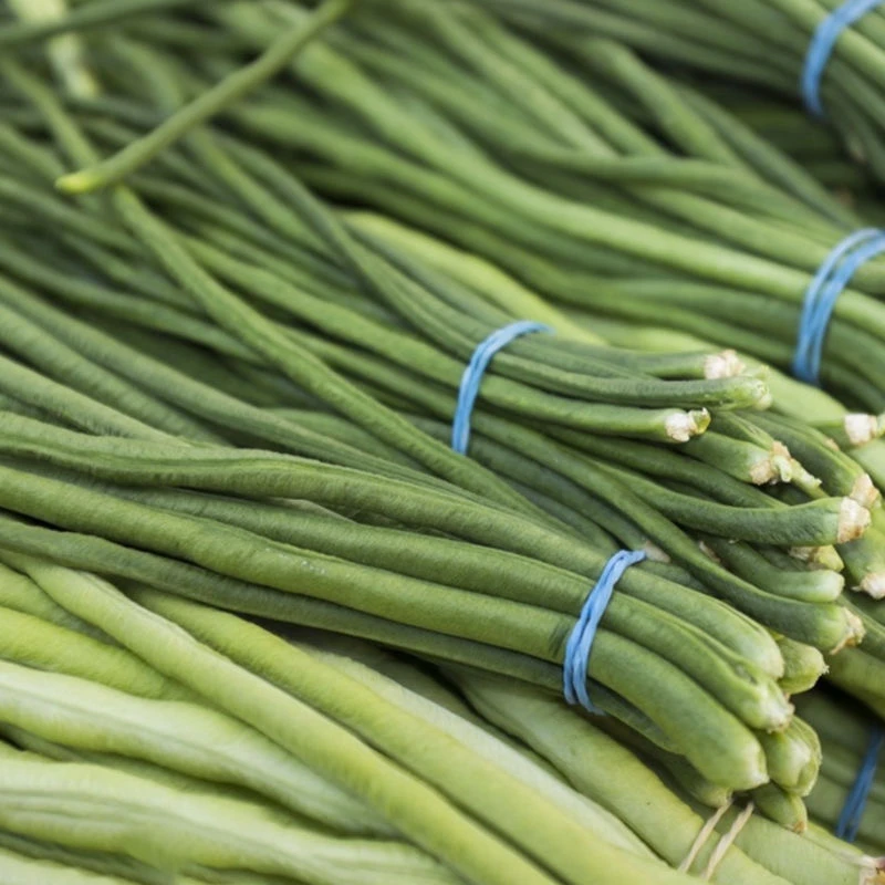 缸豆新鲜长豆角农家蔬菜当季现摘豆角