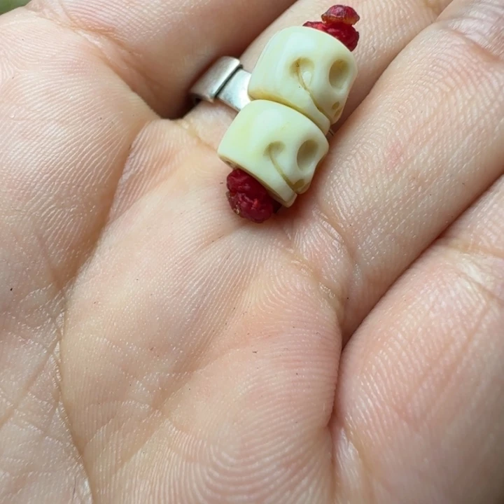 核桃木/黑胡桃（胡桃木）步**花