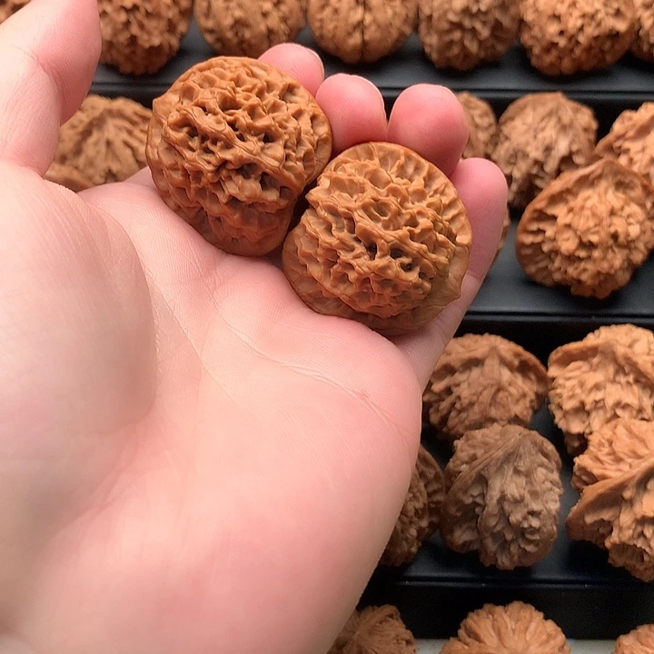 其他核桃大*海秦岭秦闷