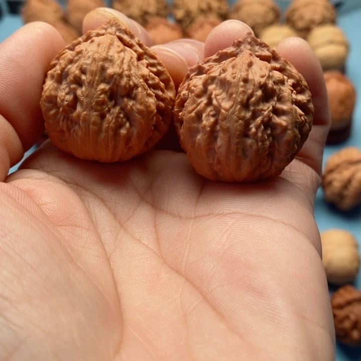 文玩核桃把件精品文玩手捻蚁王元