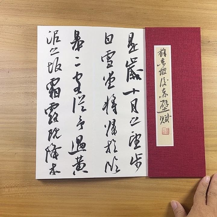 书法中书协会员作品