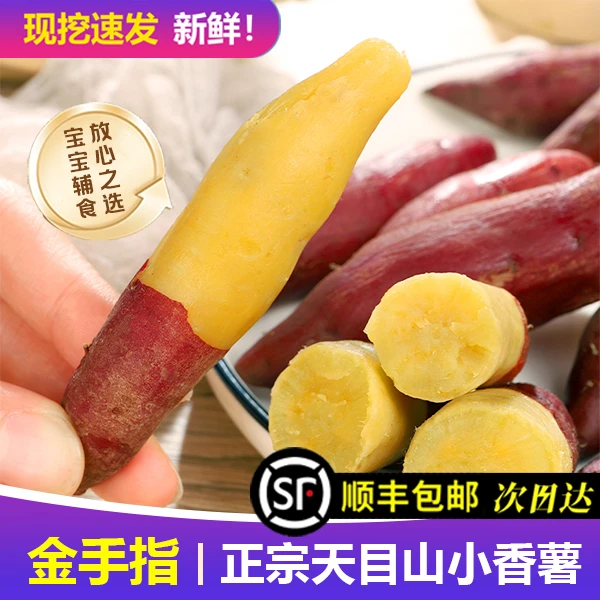 【次日达】手指薯临安天目山金手指小香薯品种板栗番薯红薯黄心无丝无筋软糯地瓜粗粮代餐天目山小香薯浙江省