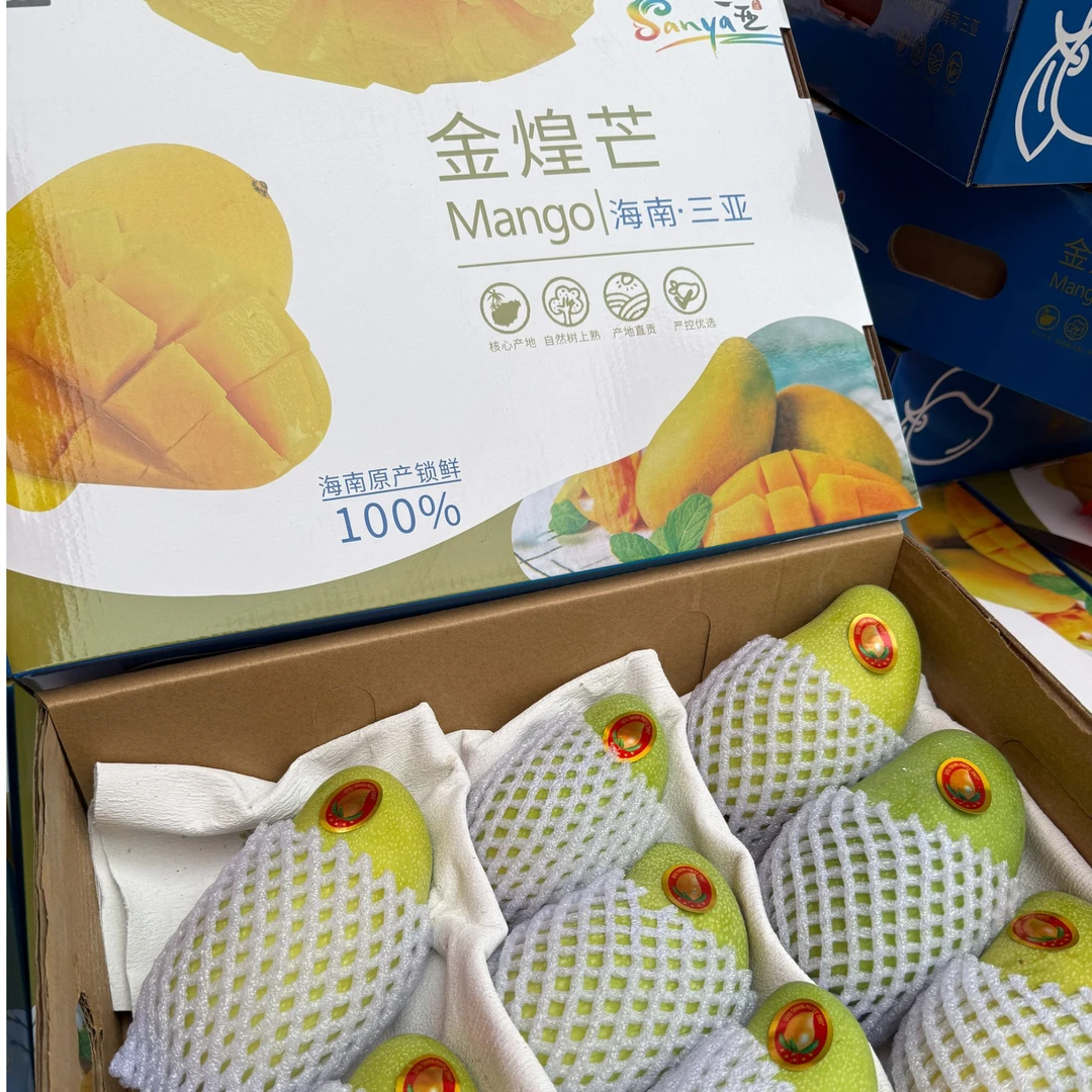 【整箱】金煌芒个大肉厚肥美袋箱4.6斤约8~9个装