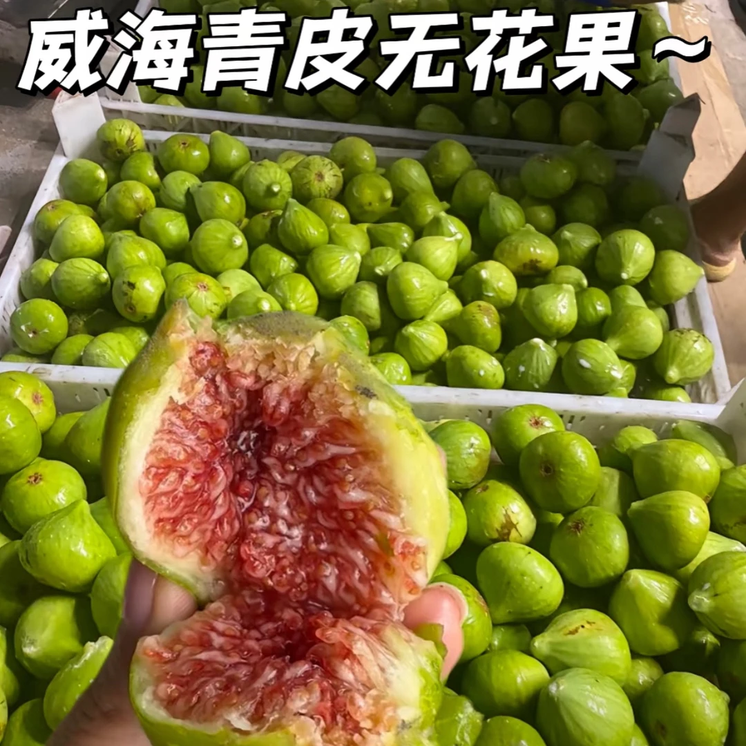 威海青皮无花果树上熟新鲜采摘皮薄肉厚软糯香甜顺丰包邮