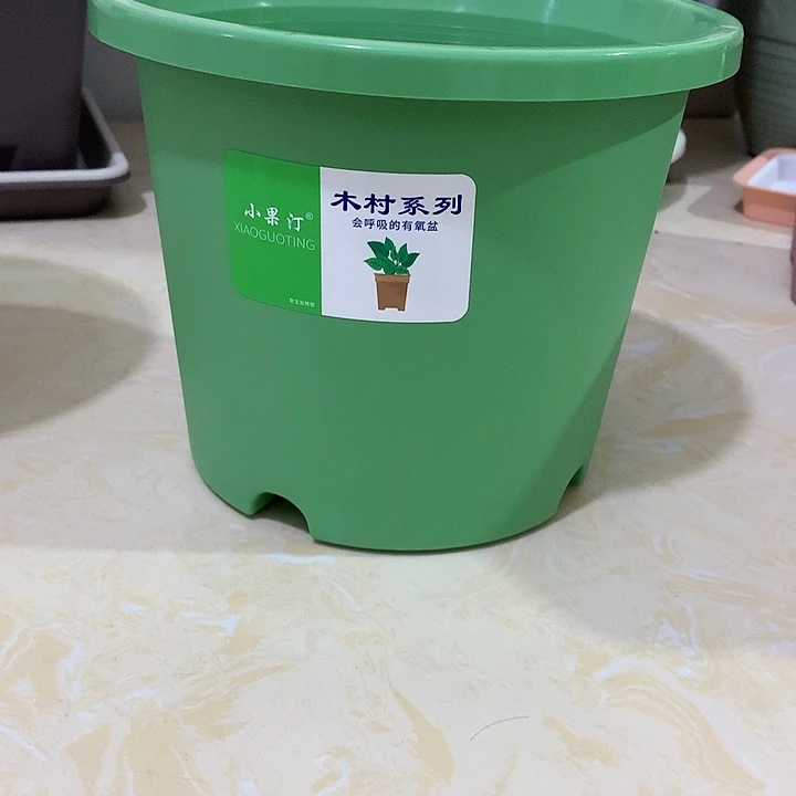 小果汀21口绿5个无托