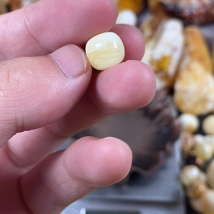 裸石琥珀未镶嵌我