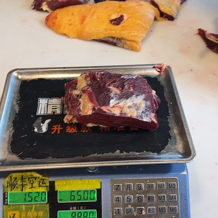 飞***依土耳其包装18电饭锅坏